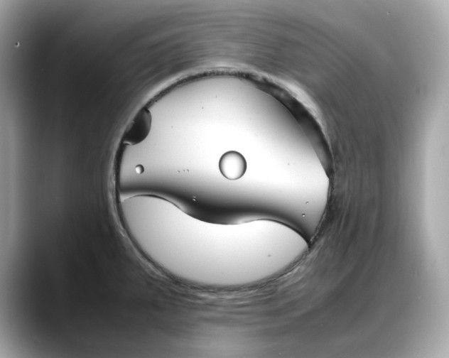 X0000088361287200706051016