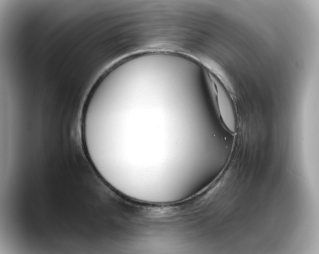 X0000088361288200706051016