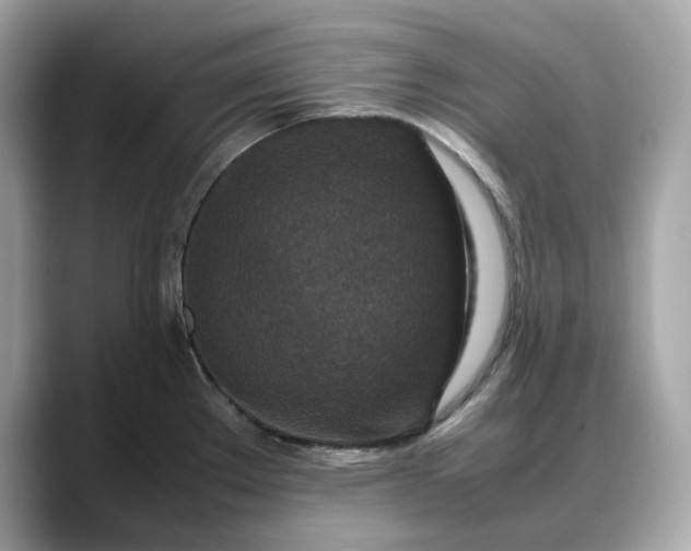 X0000088361289200706051016