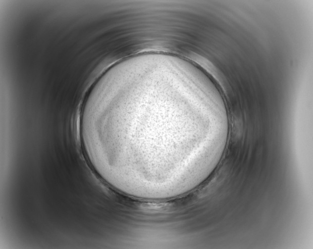 X0000088361290200706051016