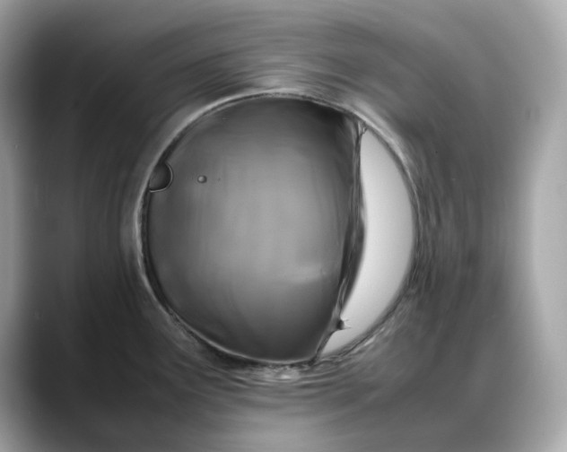 X0000088361291200706051016