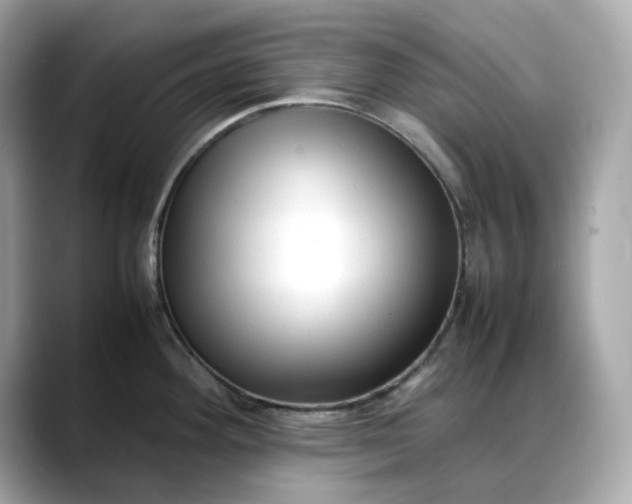 X0000088361292200706051016