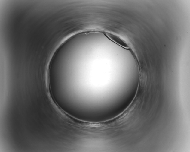 X0000088361295200706051016