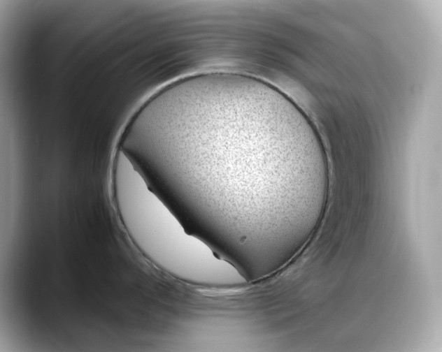 X0000088361296200706051016