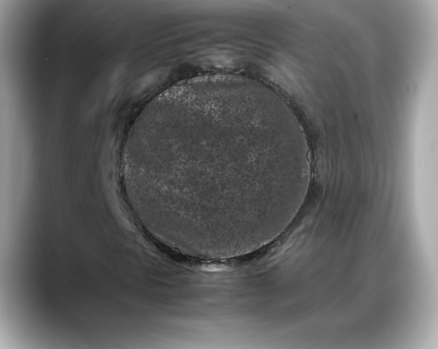 X0000088361297200706051016