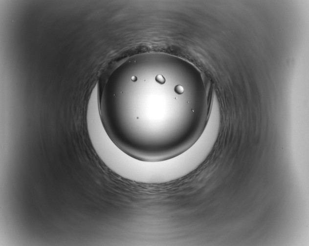 X0000088361298200706051016