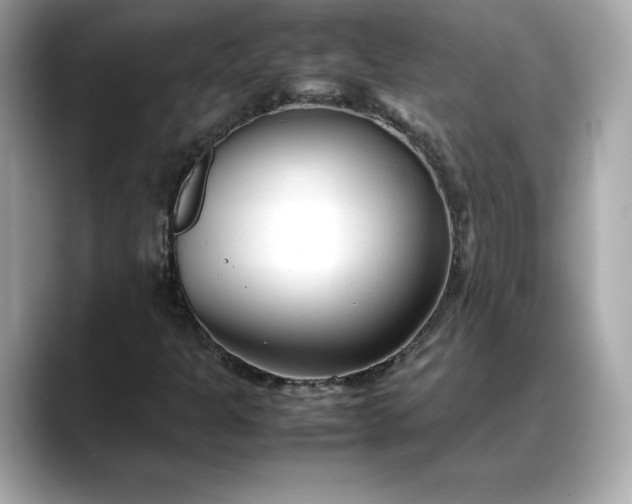 X0000088361301200706051016