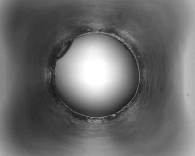 X0000088361302200706051016