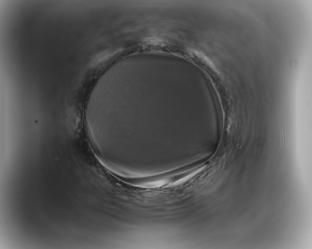 X0000088361303200706051016