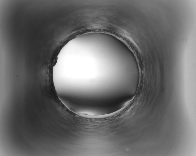 X0000088361304200706051016