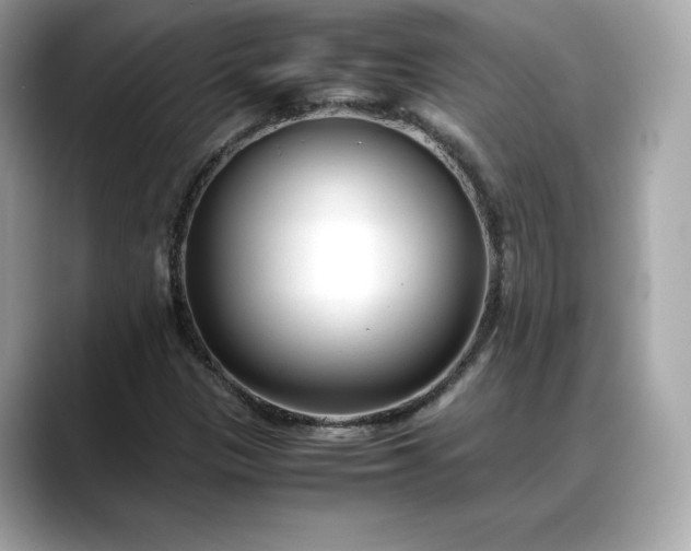 X0000088361305200706051016