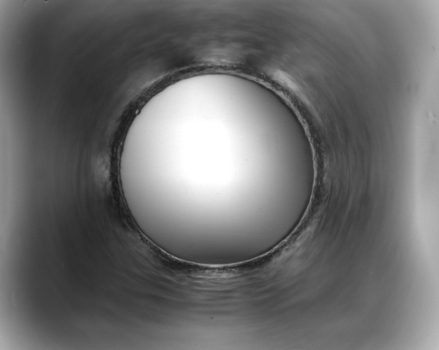 X0000088361307200706051016