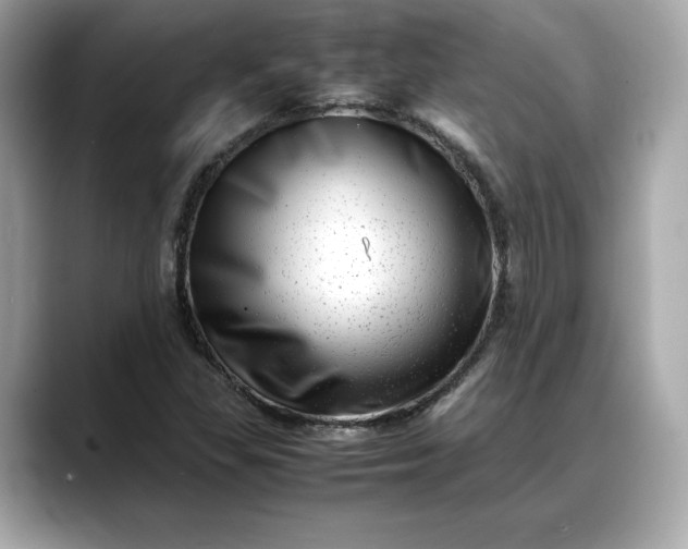 X0000088361309200706051016