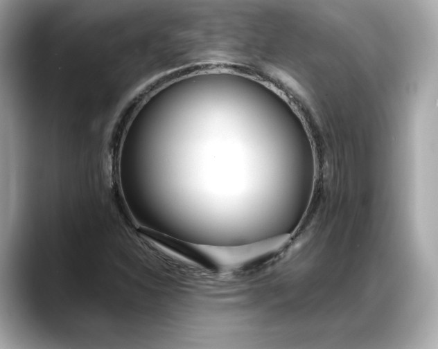 X0000088361310200706051016