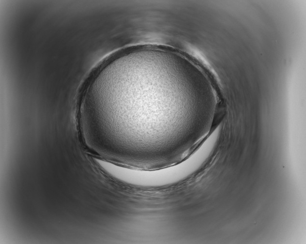 X0000088361312200706051016