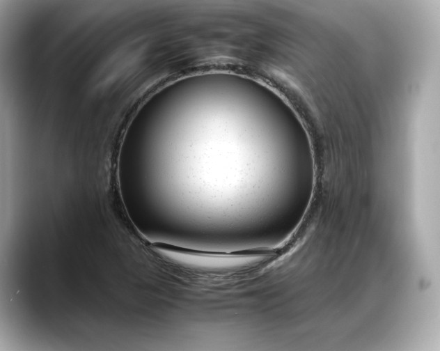 X0000088361313200706051016