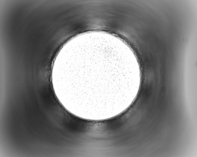 X0000088361314200706051016