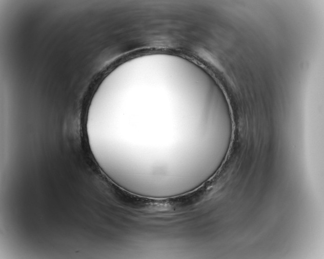 X0000088361315200706051016