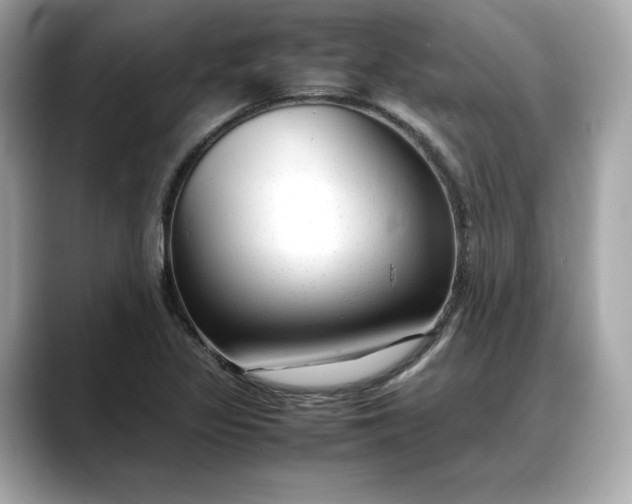 X0000088361317200706051016