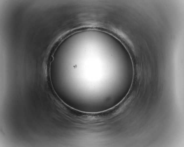 X0000088361318200706051016