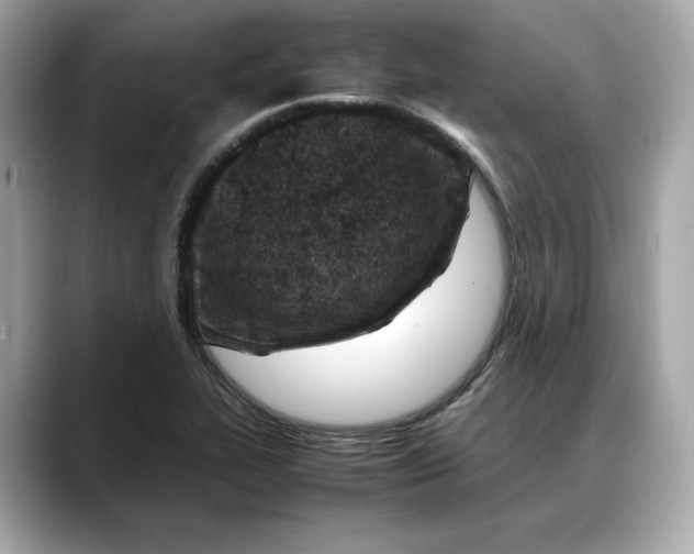 X0000088361319200706051016