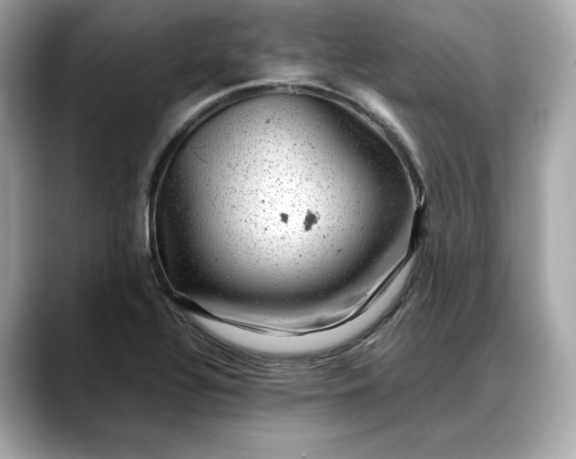 X0000088361320200706051016