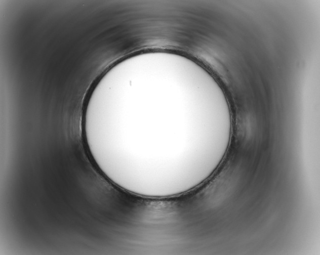 X0000088361322200706051016