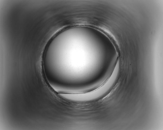 X0000088361325200706051016