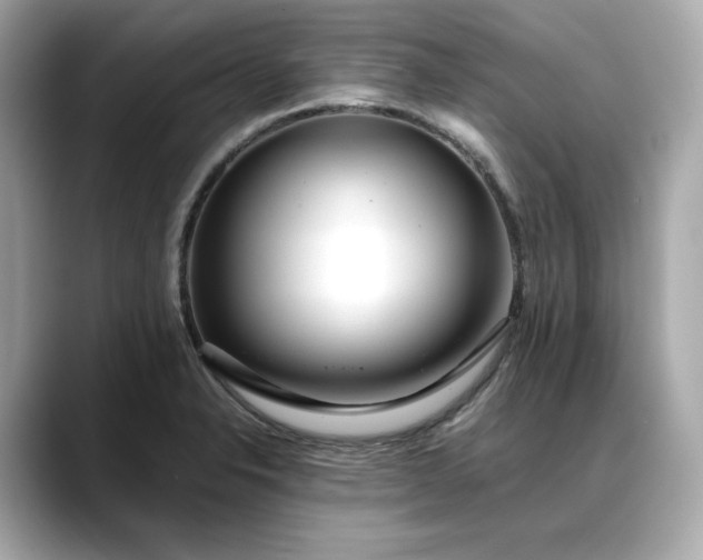 X0000088361326200706051016