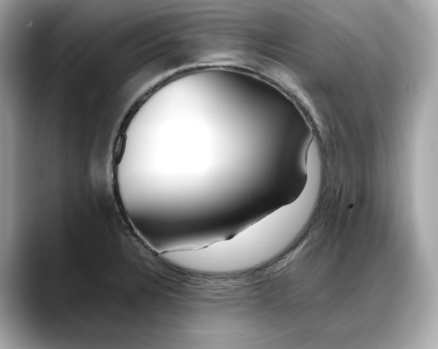 X0000088361328200706051016