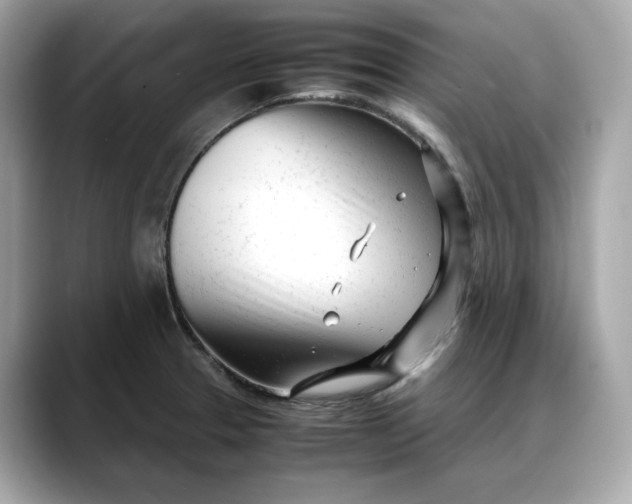 X0000088361329200706051016