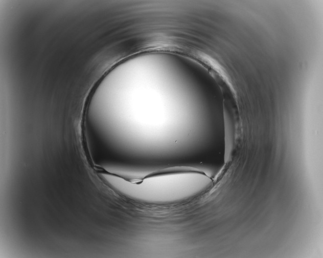 X0000088361330200706051016