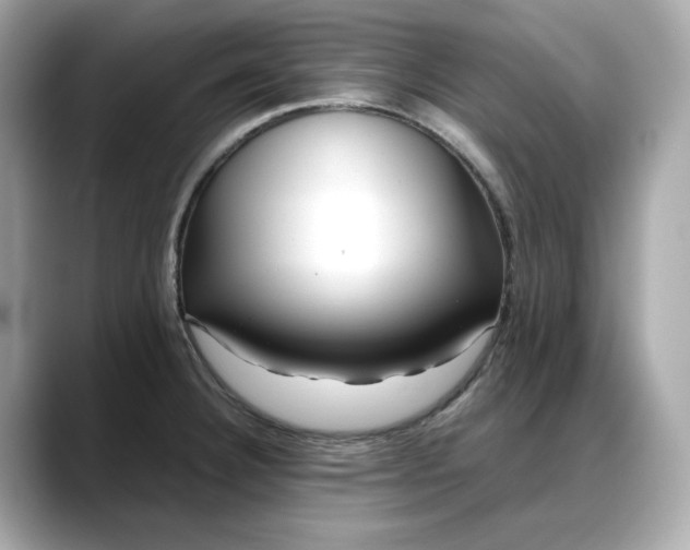 X0000088361332200706051016