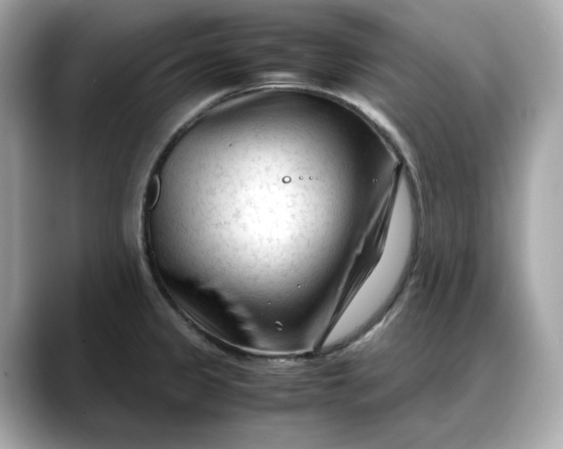 X0000088361333200706051016