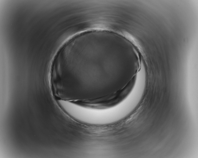 X0000088361334200706051016