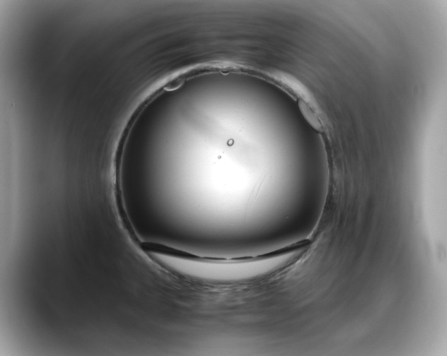 X0000088361335200706051016