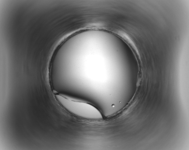 X0000088361336200706051016