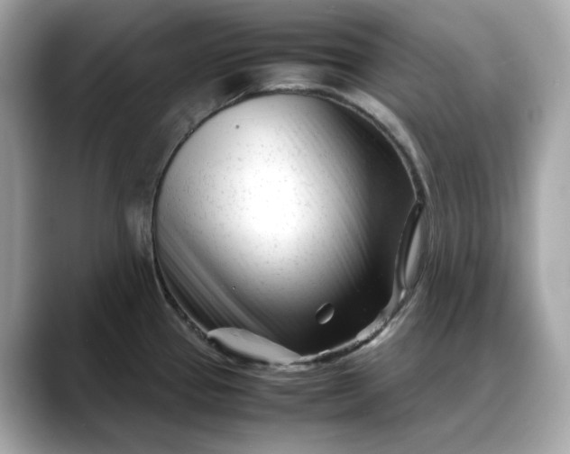 X0000088361337200706051016