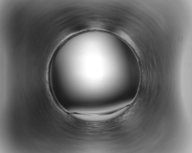 X0000088361339200706051016