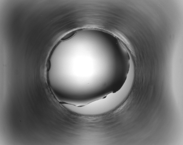 X0000088361340200706051016