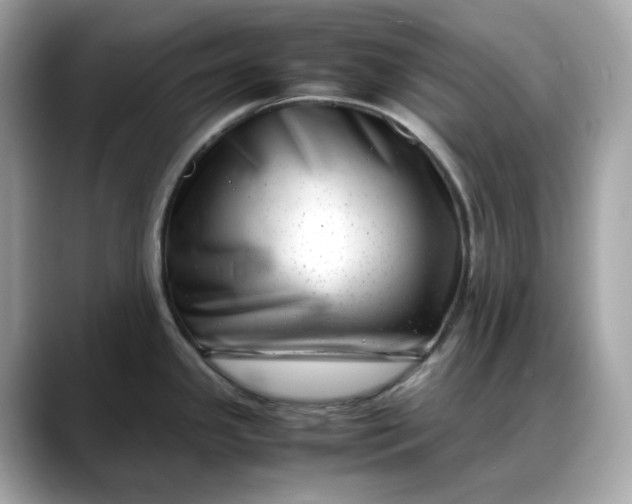 X0000088361341200706051016