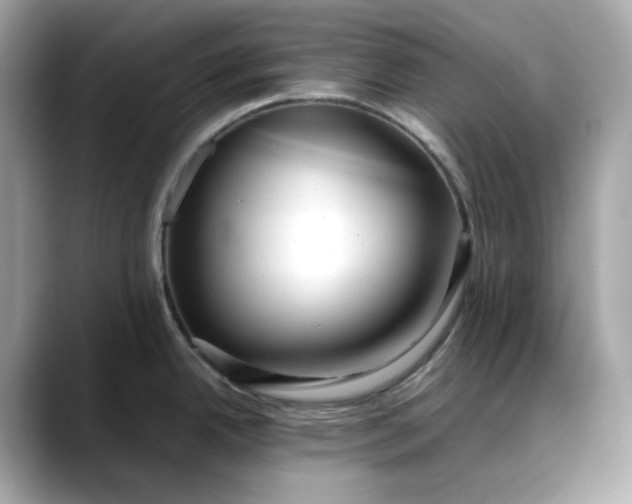 X0000088361342200706051016