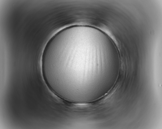 X0000088361343200706051016