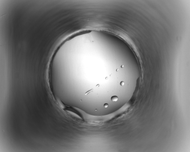 X0000088361344200706051016