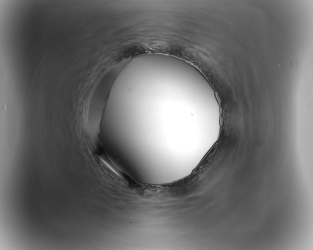 X0000088361345200706051016