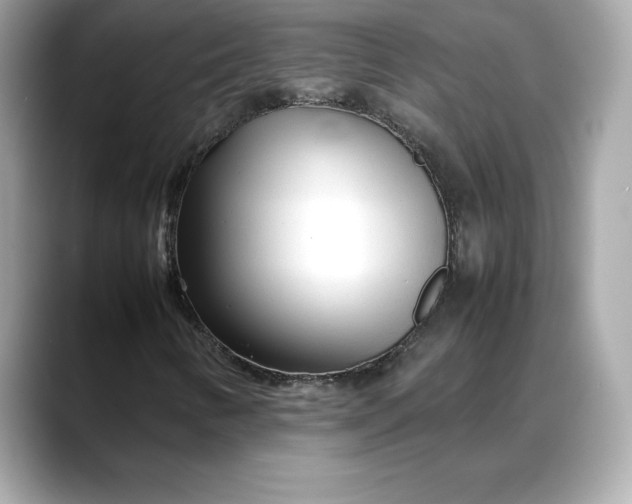 X0000088361346200706051016