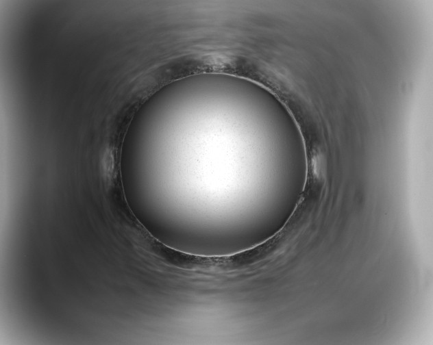 X0000088361347200706051016