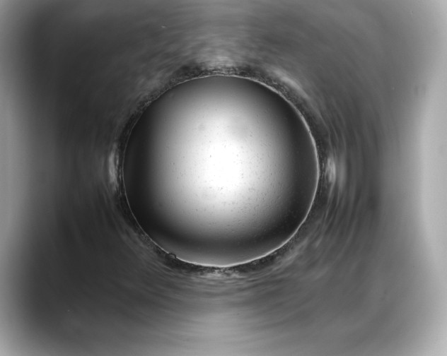 X0000088361348200706051016