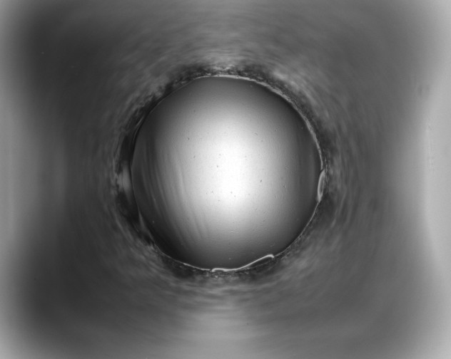 X0000088361349200706051016