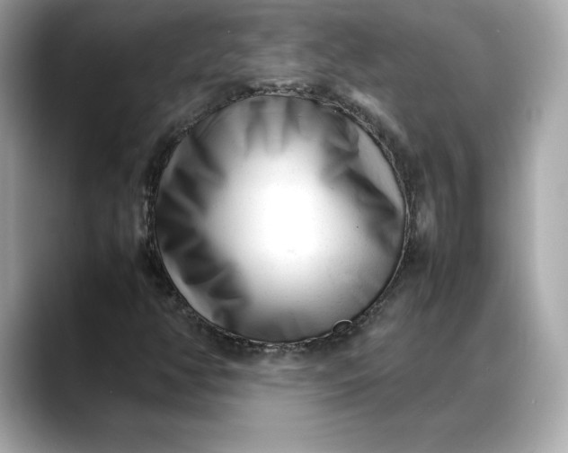 X0000088361350200706051016